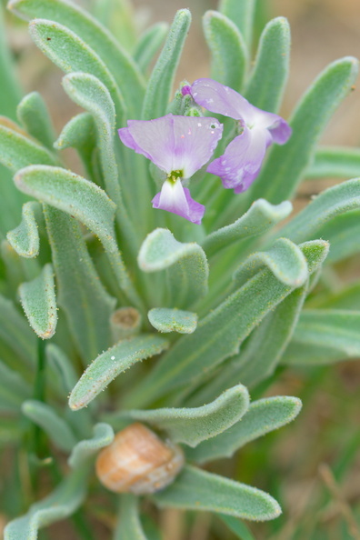 AA_22356.jpg