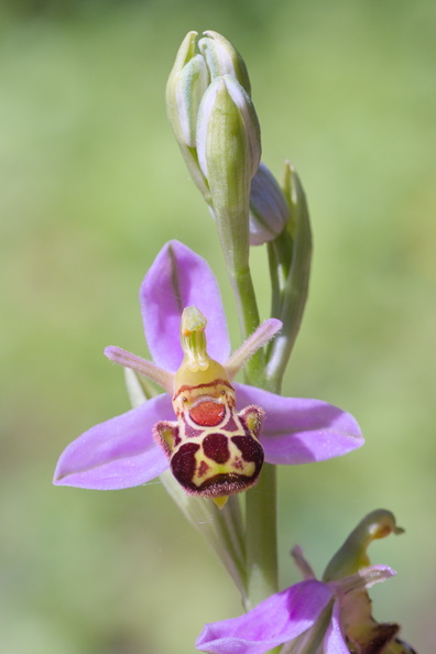 DSCF4770.jpg
